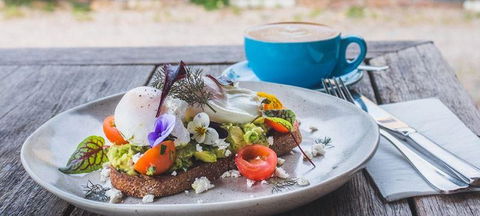 Armchair Collective - Qld Realsetate 3