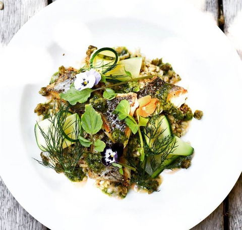 Armchair Collective - Qld Realsetate 7