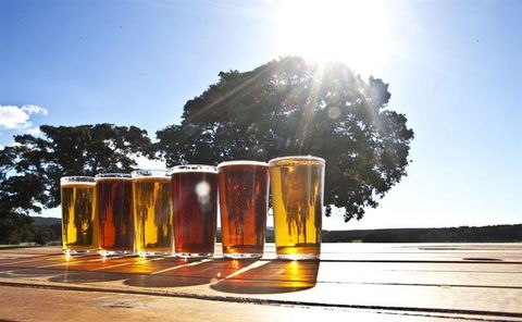 Eagle Bay Brewing Co - Renee 13