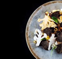 Qualia - Internet Find