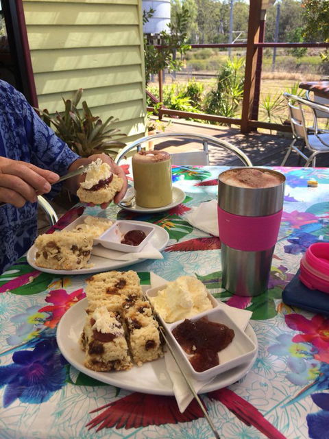 The Tiny Tea House - Renee 1
