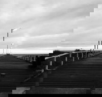 Ink Espresso - Renee