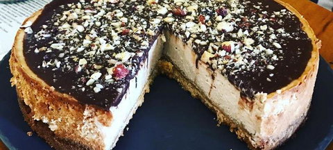 Majestic India - Swimm 2