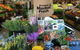 Armidale Market Fresh - thumb 0