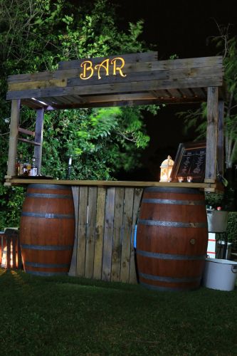 Once Upon A Party - Renee 3