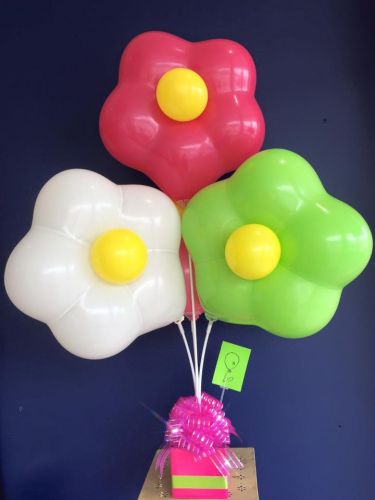 Balloons Etc - Renee 2