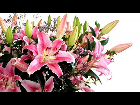 Grafton Florist - Renee 2