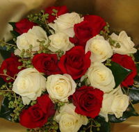 Ocean Petals Florist  Bizzy Balloons - Petrol Stations