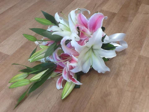 Florista - Renee 0
