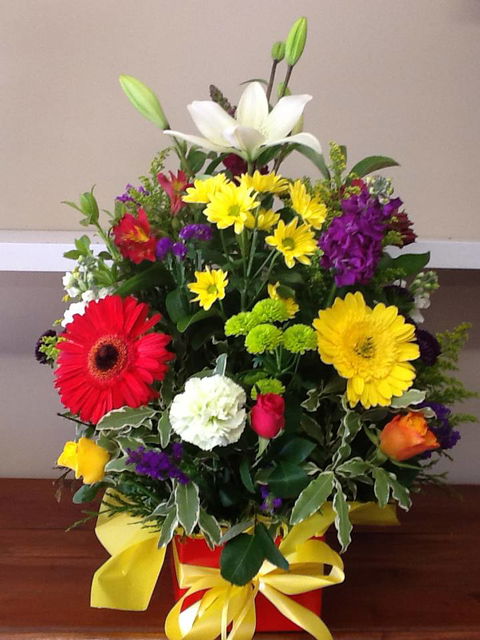 Florista - Renee 2