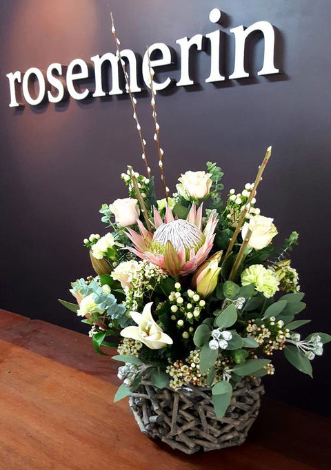 Rosemerin - Renee 1