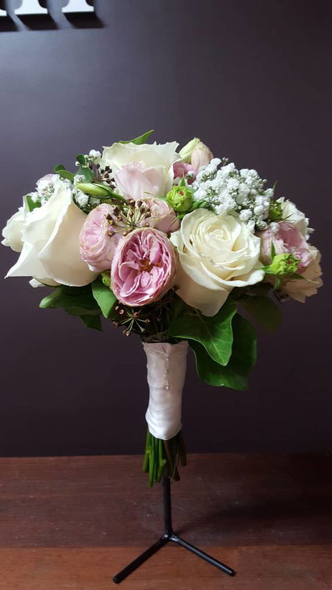 Rosemerin - Renee 3