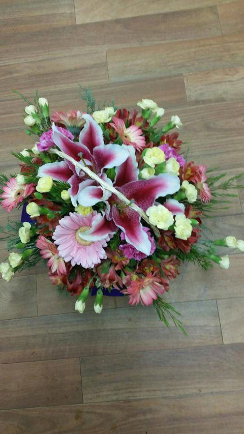 Silver Grevillea - Internet Find 1