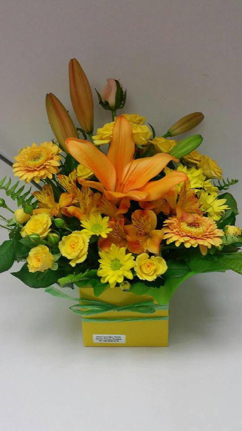 Silver Grevillea - Internet Find 2