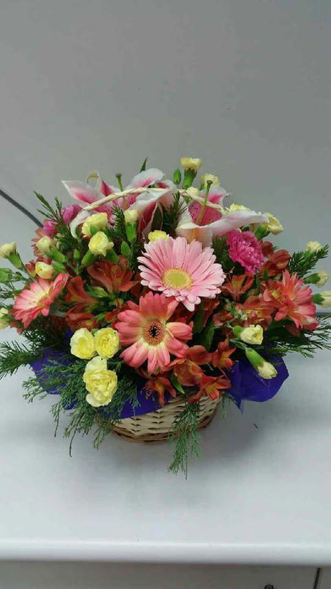 Silver Grevillea - Internet Find 3