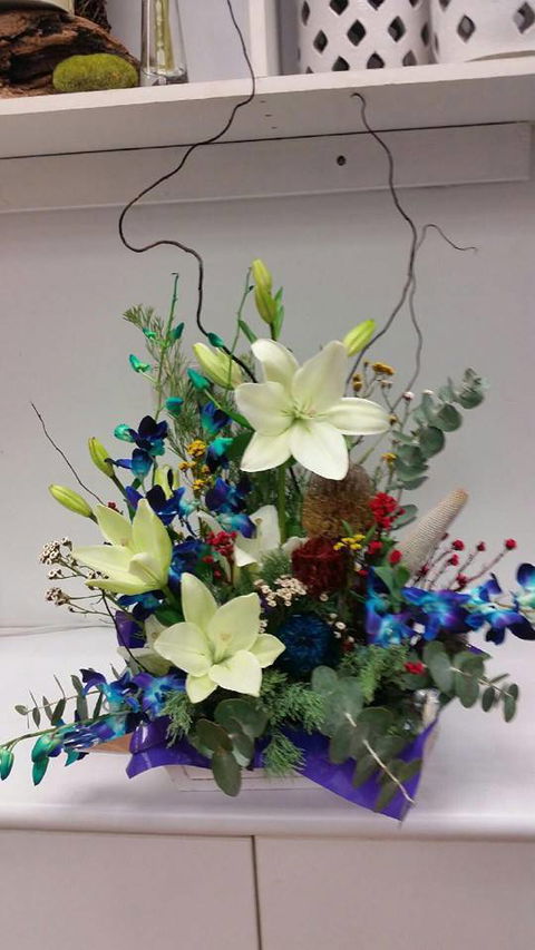 Silver Grevillea - Internet Find 4