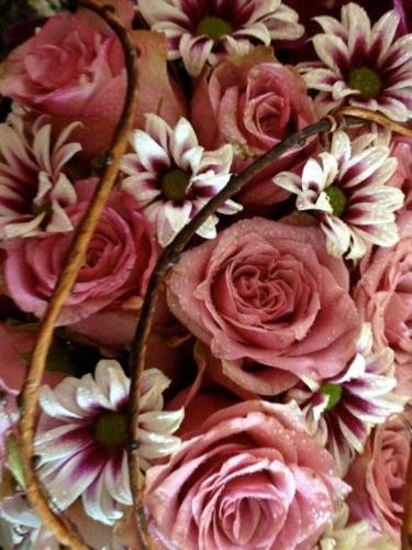 Flowers By Elise - Renee 3