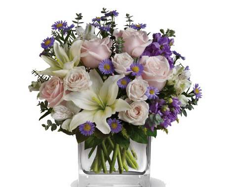 Florists Green Point NSW Qld Realsetate