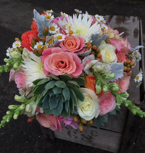 Flowers On Argyle - Renee 1