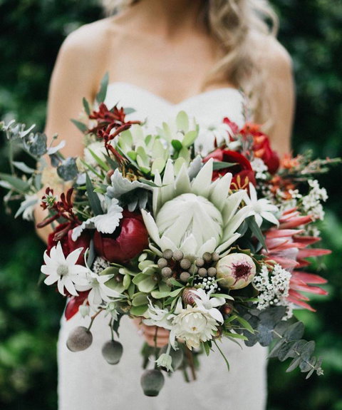 Flowers On Argyle - Renee 4