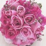 Daisy Maisy Flowers - Renee 0