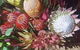 Coolangatta Florist - thumb 1