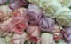 Coolangatta Florist - thumb 2