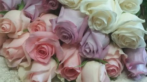 Coolangatta Florist - Internet Find 2