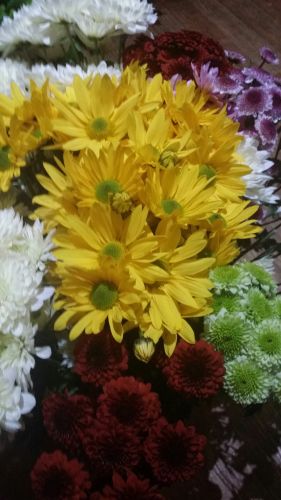 Coolangatta Florist - Internet Find 4