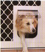 Security Doors Windows Pialba QLD Swimm