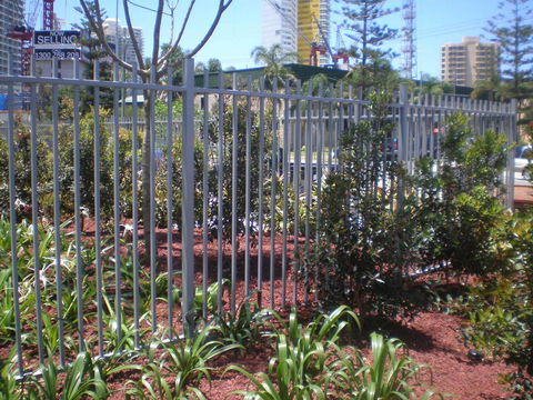 Absolute Fencing - Renee 12