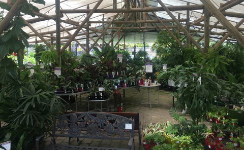 Limberlost Nursery & Garden Centre - Renee 1