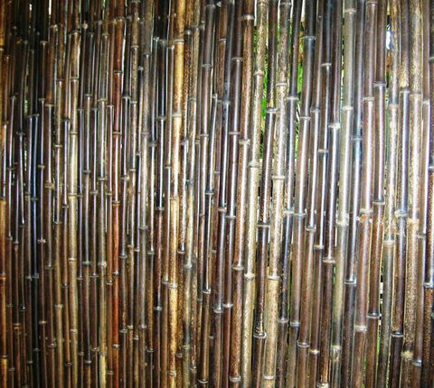Bamboo Australia Pty Ltd - Renee 1
