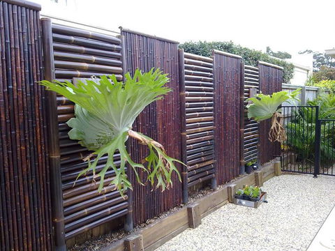 Aussie Gardens - Renee 4