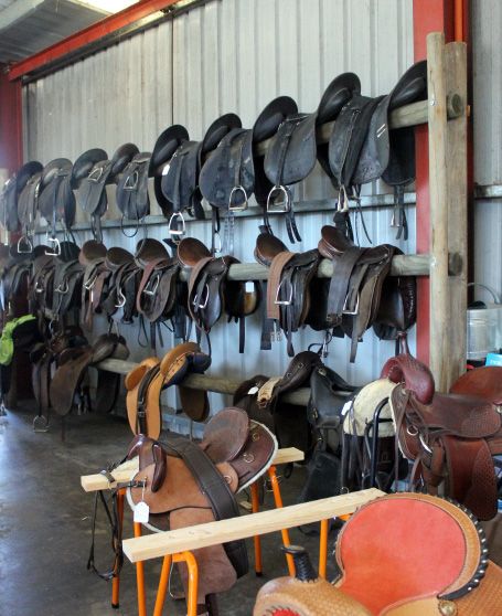 Wyong Produce & Farm Supplies - Renee 1