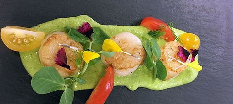 Cafe Amphora - Renee 0