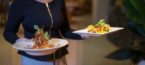 Cafe Amphora - Renee 1