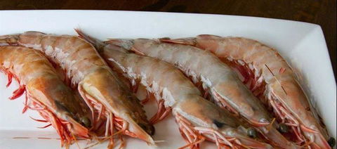 Tapas Tapas Bodega - Swimm 22