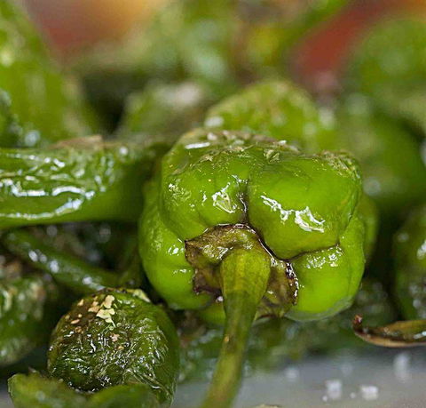 Tapas Tapas Bodega - Swimm 7
