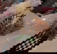 Marrakech Restaurant - Internet Find