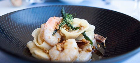 Fat Dumpling - Internet Find 1