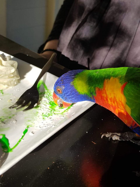 Julie's At The Rectory - Renee 2