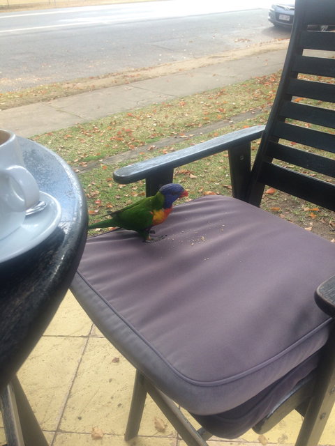 Julie's At The Rectory - Renee 4