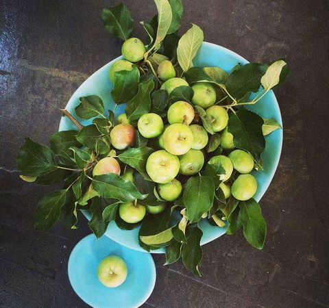 Seed Winehouse + Kitchen - Renee 6
