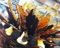 Daily Dose Cafe Wine Bar - Swimm 0