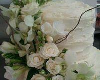 Daily Dose Cafe Wine Bar - Swimm 11