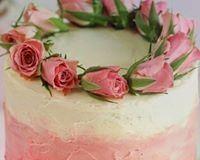 Daily Dose Cafe Wine Bar - Swimm 16