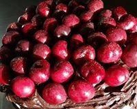 Daily Dose Cafe Wine Bar - Swimm 7