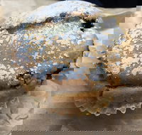 Surfside Patisserie - Renee