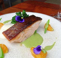 To The Woods - Swimm